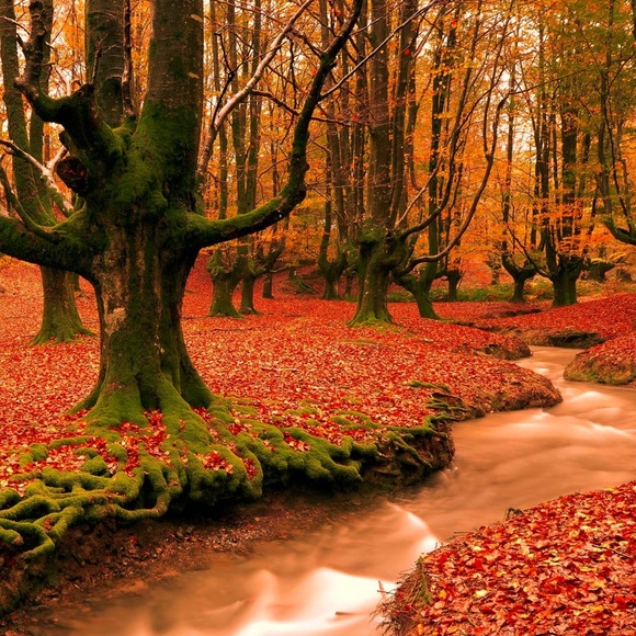 Meet your Posher, Maria - Picture 1 of 1